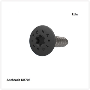Edelstahlschraube 4 x 40 mm Anthrazit DB703