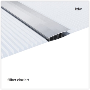 H-Profil in Silber