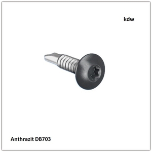 Super Saphir V2A-Schraube in Anthrazit