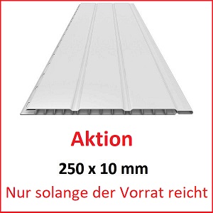 Kunststoffpaneele VP250/2NEW10 in Weiss, Strke 10 mm